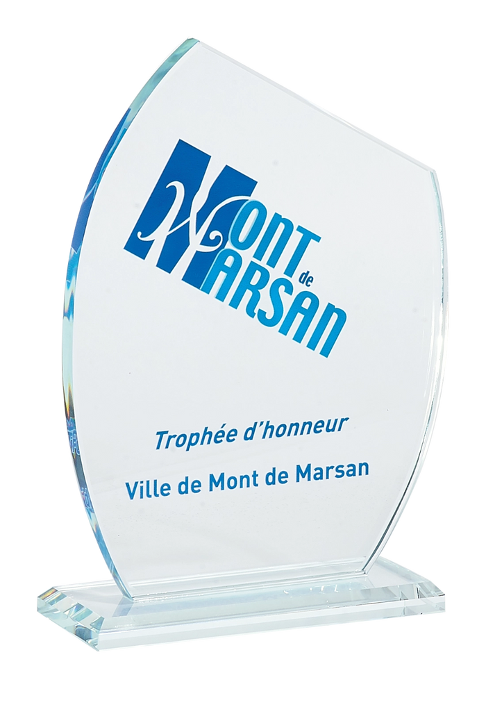 Trophée Verre Marquage Couleur 156-11