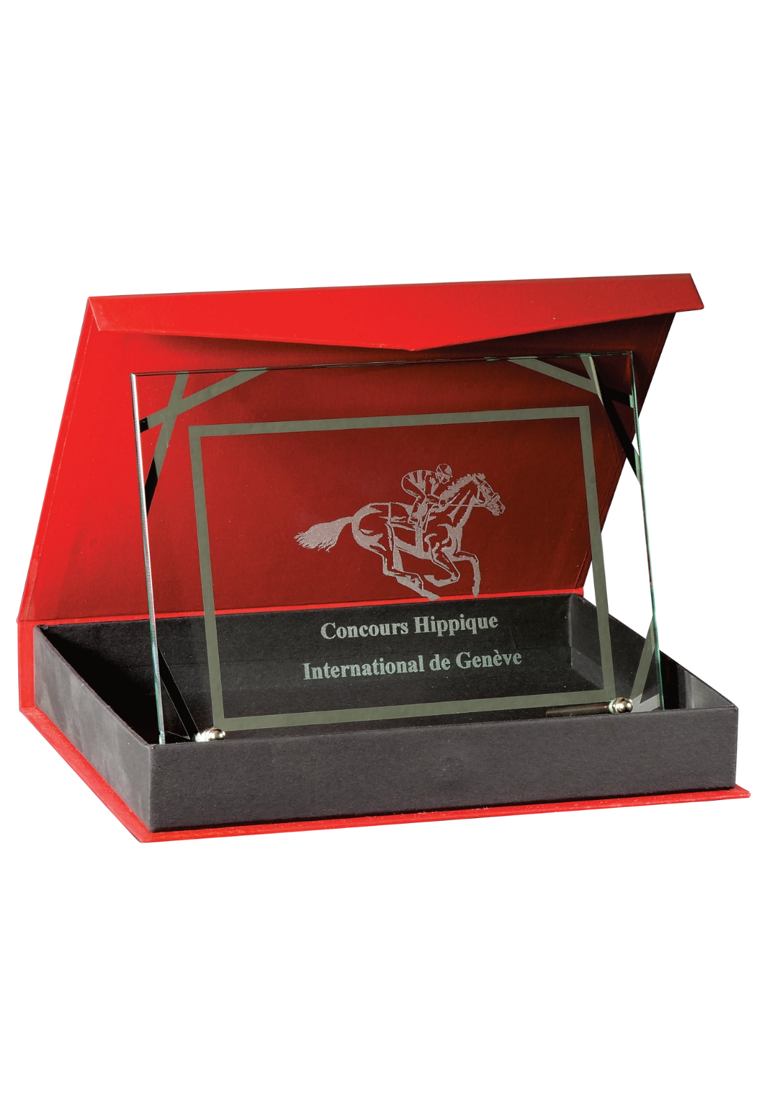 Plaque de Distinction 186-05