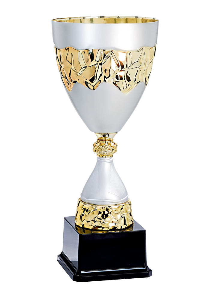 Coupe Classique 4561