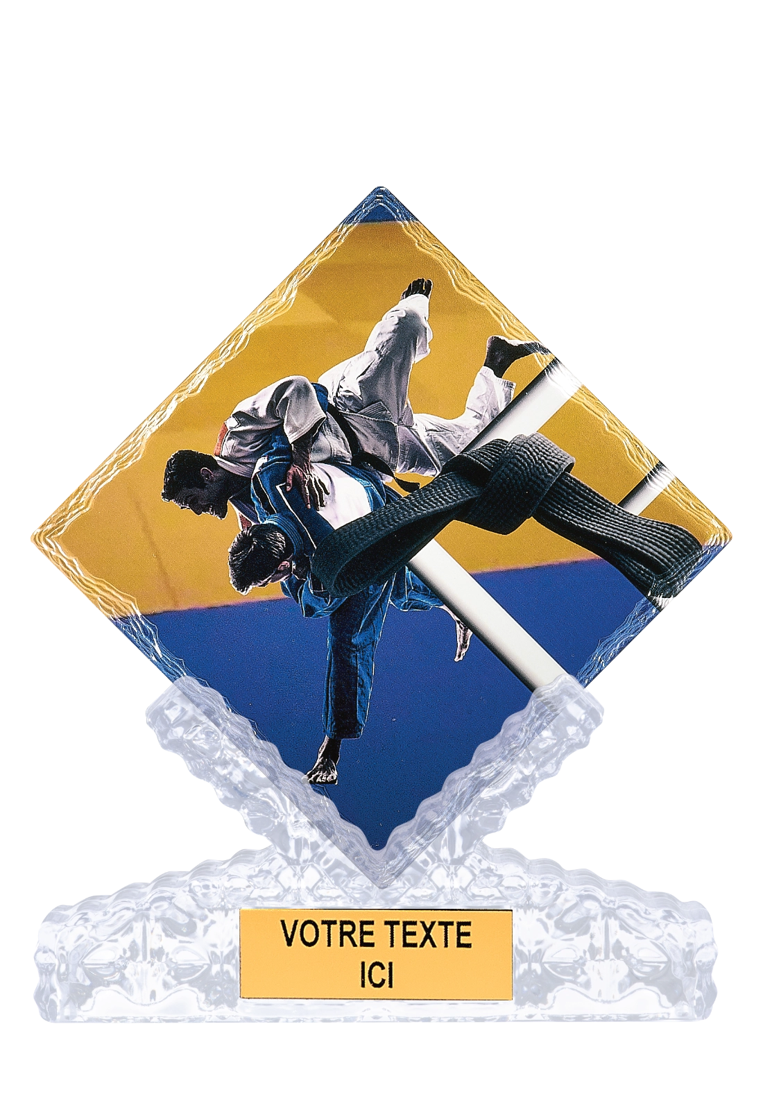 Trophée Judo Céramique Impression Couleur 25 cm 46114 – Trophyshop
