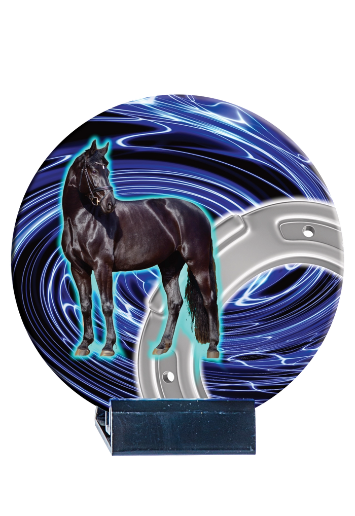 Trophée Disque Céramique Couleur Équitation B04