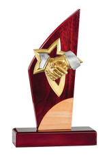 Trophée Bois Porte-applique 130-01