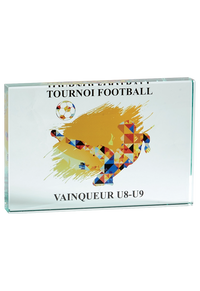 Trophée Verre Marquage Couleur 155-21