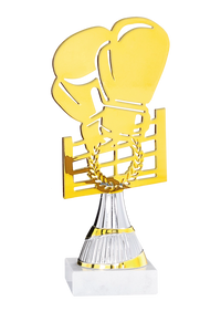 Trophée Découpe Laser Boxe 55104