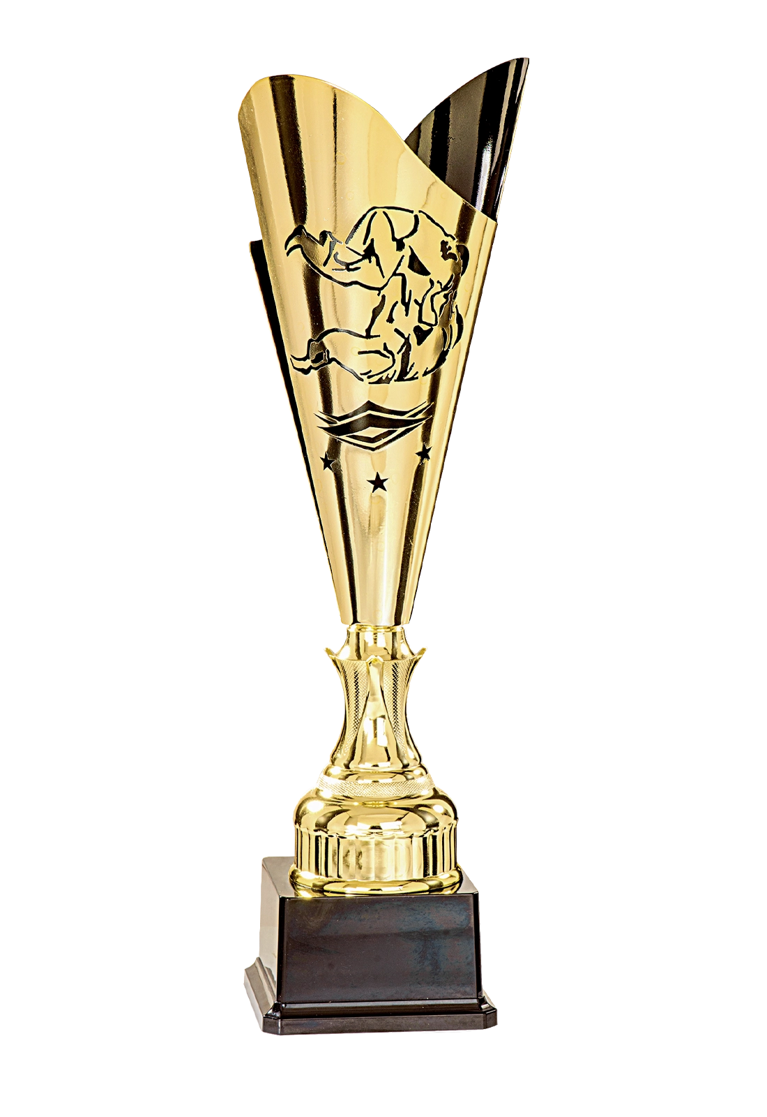 Coupe Laser Métal Judo - 35510 personnalisable - TrophyShop