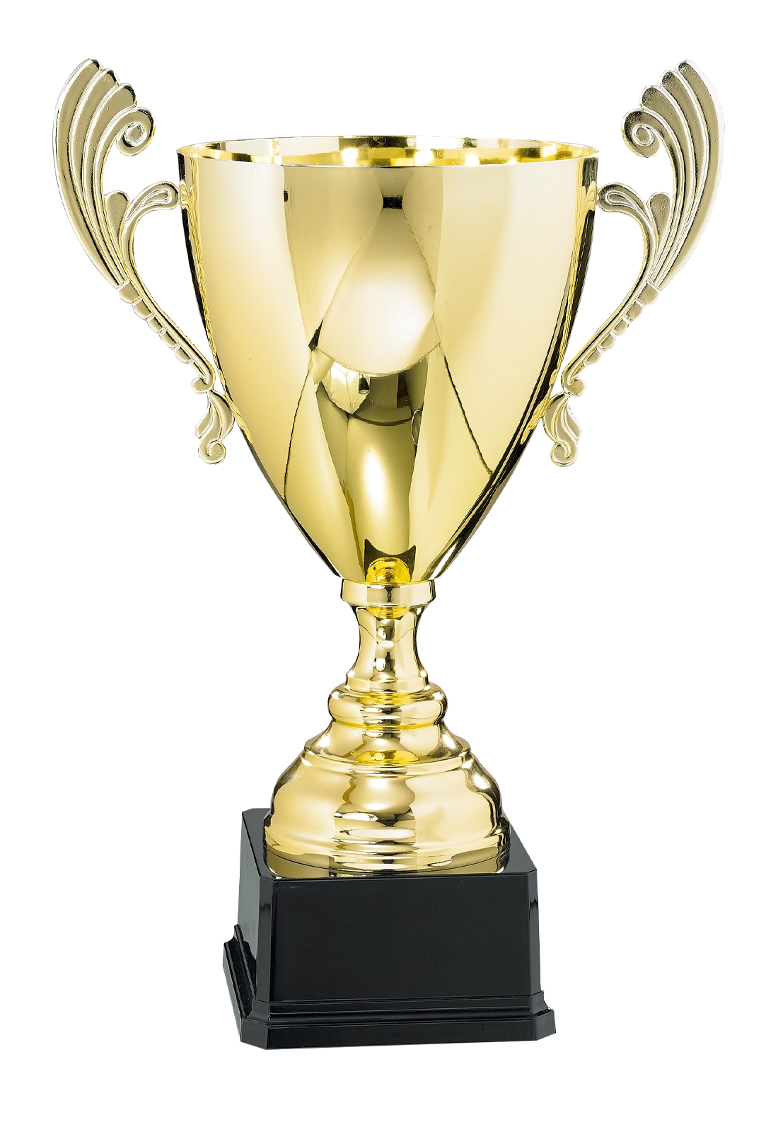 Coupe Prestige Métal - 653 personnalisable - TrophyShop
