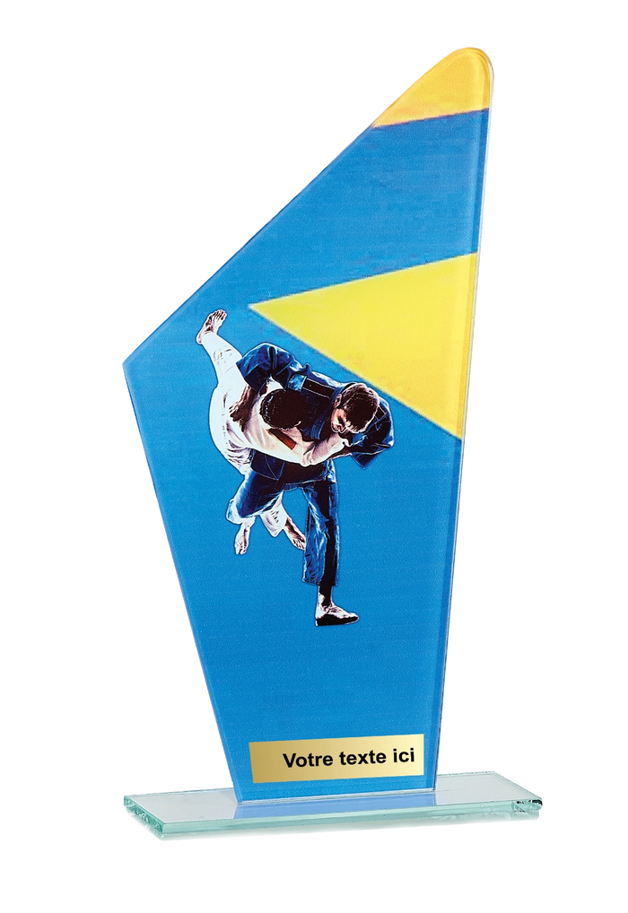 Trophée Verre Impression Couleur Judo 66114